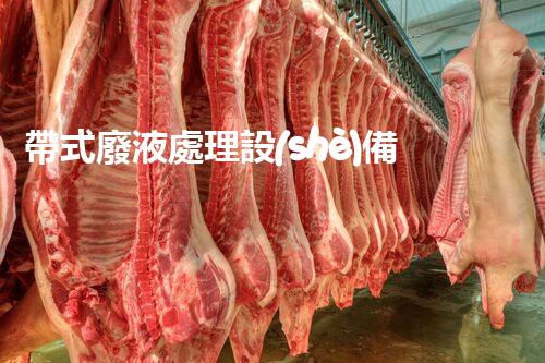 帶式廢液處理設(shè)備：如何實(shí)現(xiàn)高效環(huán)保處理？
